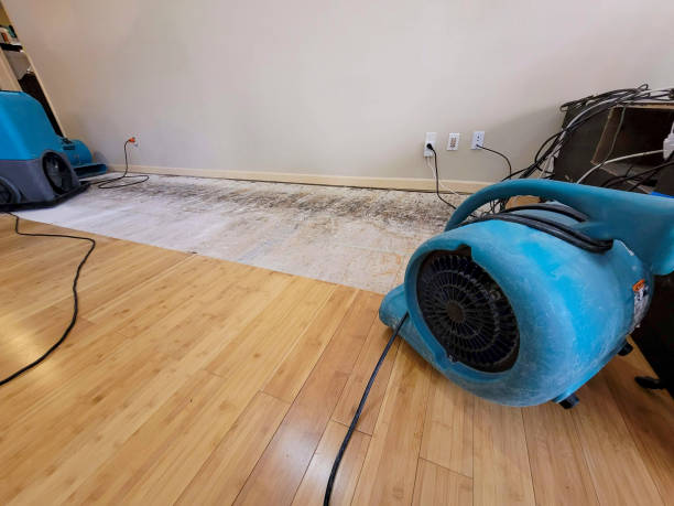 Professional Basement Flood Cleanup technician working in Greene, ME